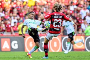 Flamengo x América MG ao vivo hoje 26/11/23 - Brasileirão Série A